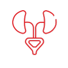 Nephrology
