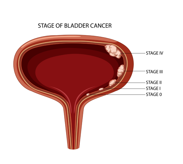 Ailments Image