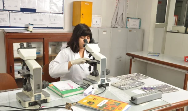 digital-pathology