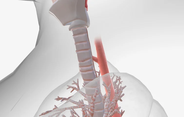 fistula-banner2.webp