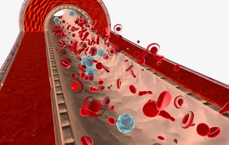 154asi_thalassemia-banner.webp