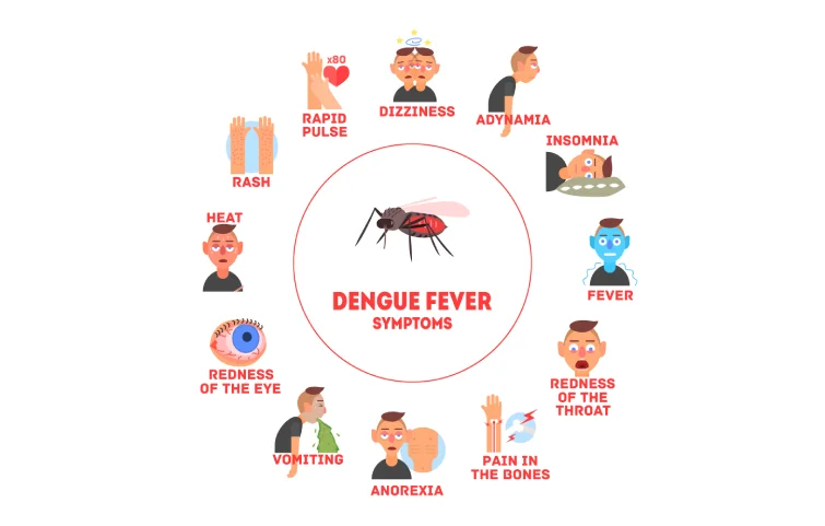 dengue-banner3.webp