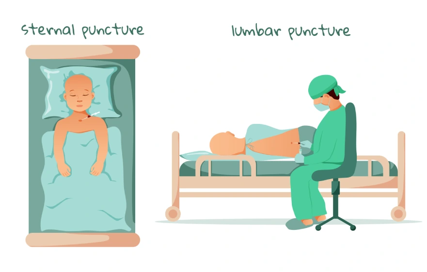 overview-lumbar.webp