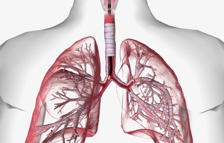 bronchoscopy-overview.webp